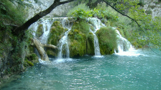Waterfall tree forest nature river - a tree in the foreground free wallpaper