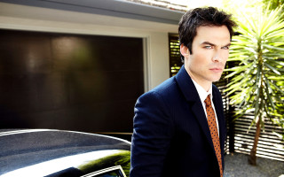 Handsome man suit tie car - a palm tree in the background free wallpaper