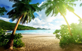 Beach palm ocean clouds sunbeam 2 - a blue ocean in the background free wallpaper