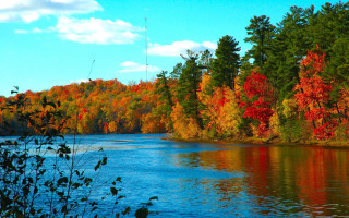 Autumn lake trees clouds fall - a blue sky free wallpaper