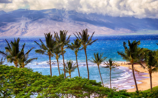 Beach palm mountain clouds water - a beach free wallpaper for desktop
