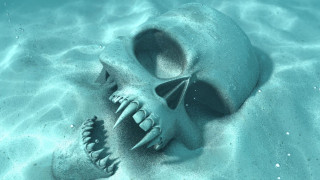 Skull sand fish eye gothic - a skull free wallpaper
