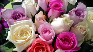 Romantic roses bouquet vase floral - rose free wallpaper