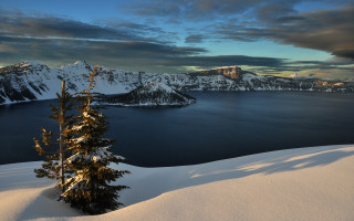 Lone tree snow lake mountains 3 - a lone tree free wallpaper