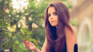 Woman rose smile portrait naturalism - a rose free wallpaper