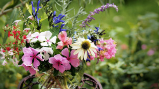 Vase flower field bokeh impressionism - cindy wright free wallpaper