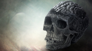 Skull brain light moon neoplasticism - biopunk free wallpaper