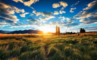 Sunset landscape field tree clouds - david boyd free wallpaper