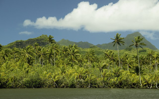 Tropical island palm mountains boat - palm tree and mountains free wallpaper