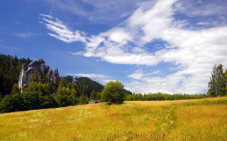 Mountain field forest sky clouds - white cloud free wallpaper