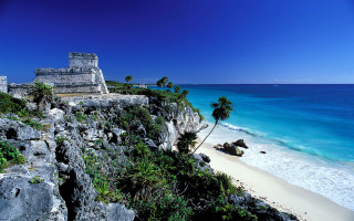 Beach castle ocean palm tree - the shore free wallpaper