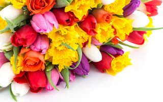 Colorful flower bouquet white background - colorful flower free wallpaper