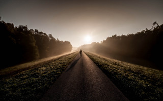 Person walking road field sunset - the sun free wallpaper