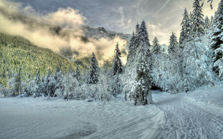 Snowy mountain trees clouds trail - andor basch free wallpaper