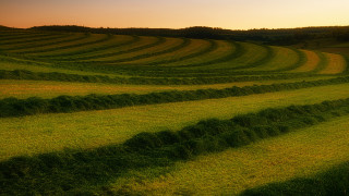 Field bales sunset clouds puzzle - sunset free wallpaper