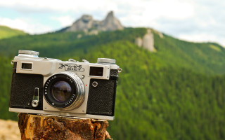 Camera stump mountain forest lomography - top of a tree free wallpaper