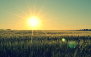 Grass sun clouds horizon lensflare - cloud above free wallpaper