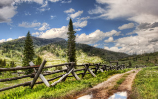 Dirt road green field forest - a wooden fence free wallpaper