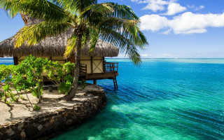 Hut beach palmtree dock boat - a hut free wallpaper