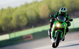 Motorcycle rider green track forest - cornelisz hendriksz vroom free wallpaper