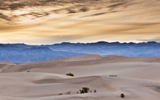 Desert mountains clouds trees ocean - betye saar free wallpaper