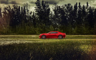 Red sports car field forest - grass and trees free wallpaper