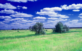 Blue sky clouds landscape field - beautiful landscape free wallpaper