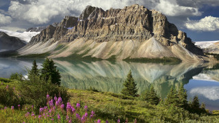Mountain lake forest flower sky 2 - a cloudy sky free wallpaper
