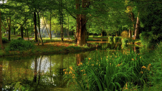 Pond trees grass fountain park - a park area free wallpaper