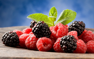 Raspberries leaf plate blue background - a plate free wallpaper for desktop