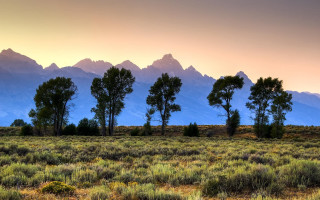 Sunset mountains trees lake forest - tree and mountains free wallpaper