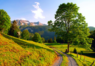 Dirt road hill tree mountains - a dirt road free wallpaper
