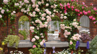 Garden bench flowers wall roses - delaunay free wallpaper