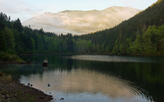 Lake mountains trees boat fog - tree and mountains free wallpaper