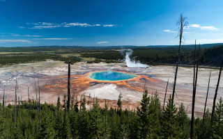 Geyser trees blue sky clouds - free forest wallpaper