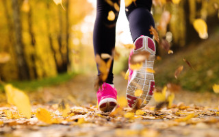 Autumn leaves woods pink shoes - pink shoe free wallpaper