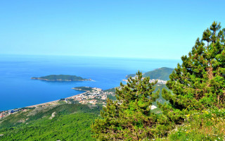 City water hill trees panorama - avgust černigoj free wallpaper