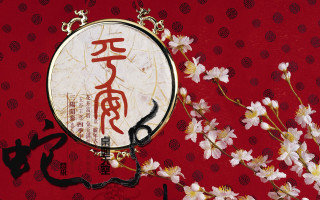 Chinese flower cat sunrise snowflakes - a picture of a cat free wallpaper