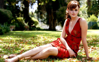 Woman red dress grass park 2 - a park free wallpaper