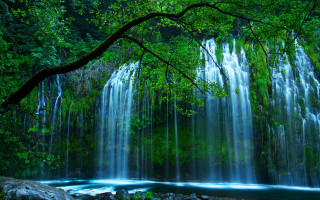 Waterfall tree river forest nature - the middle of a forest free wallpaper