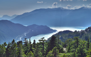 Lake mountains forest trees beach - a view of a lake and mountains free wallpaper