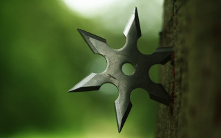 Metal star forest background sharp - object free wallpaper