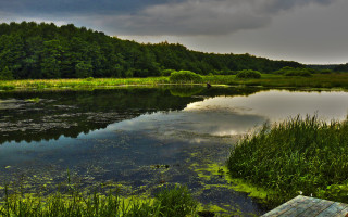 Lake forest bench cloudy sky - boleslaw cybi free wallpaper