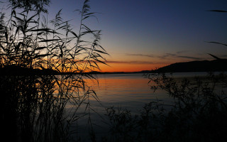Lake sunset plants hill forest - a photo free wallpaper