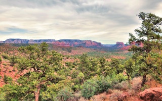Mountain range forest bushes sky 2 - scenic free wallpaper