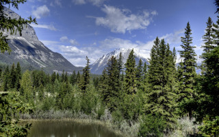 Mountain lake forest bushes sky - derek chittock free wallpaper