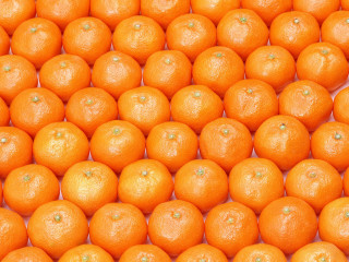 Oranges pile illusion halloween pumpkin - a pile of oranges free wallpaper