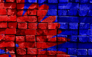 Red blue brick wall flower - a red flower free wallpaper