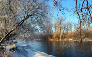 River snowy bank trees path - the waters edge free wallpaper