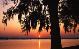 Sunset lake tree bridge boats - a sunset over a lake free wallpaper